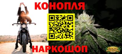 винт Камышлов