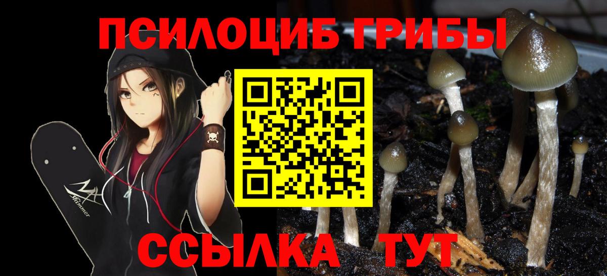 Галлюциногенные грибы GOLDEN TEACHER  Вход с VPN  Нижнекамск  Псилоцибиновые грибы мицелий 